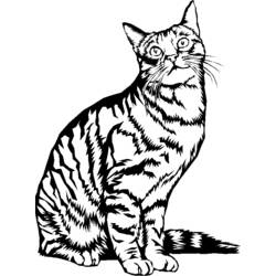 Раскраска: котенок (Животные) #18148 - Раскраски для печати