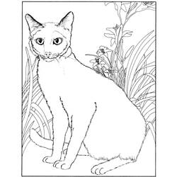 Раскраска: котенок (Животные) #18205 - Бесплатные раскраски для печати