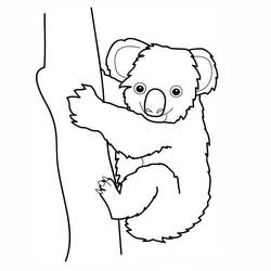 Раскраска: коала (Животные) #9300 - Раскраски для печати