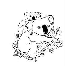 Раскраска: коала (Животные) #9302 - Раскраски для печати
