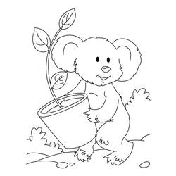 Раскраска: коала (Животные) #9306 - Бесплатные раскраски для печати