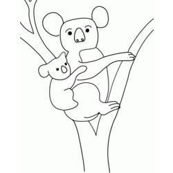 Раскраска: коала (Животные) #9326 - Бесплатные раскраски для печати