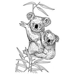 Раскраска: коала (Животные) #9327 - Раскраски для печати