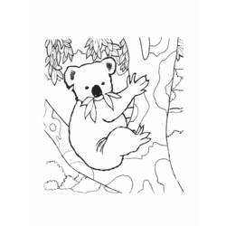 Раскраска: коала (Животные) #9337 - Бесплатные раскраски для печати