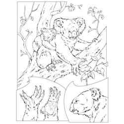 Раскраска: коала (Животные) #9339 - Раскраски для печати