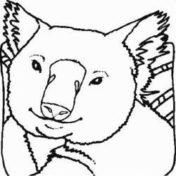 Раскраска: коала (Животные) #9340 - Бесплатные раскраски для печати