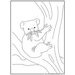 Раскраска: коала (Животные) #9342 - Бесплатные раскраски для печати