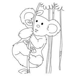 Раскраска: коала (Животные) #9345 - Бесплатные раскраски для печати