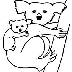 Раскраска: коала (Животные) #9369 - Бесплатные раскраски для печати