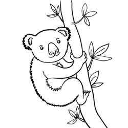 Раскраска: коала (Животные) #9398 - Раскраски для печати