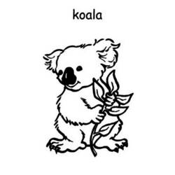 Раскраска: коала (Животные) #9420 - Раскраски для печати