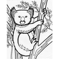 Раскраска: коала (Животные) #9426 - Бесплатные раскраски для печати