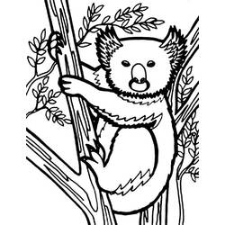 Раскраска: коала (Животные) #9467 - Бесплатные раскраски для печати