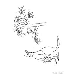 Раскраска: коала (Животные) #9473 - Бесплатные раскраски для печати