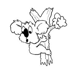 Раскраска: коала (Животные) #9485 - Бесплатные раскраски для печати