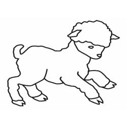 Раскраска: баранина (Животные) #182 - Раскраски для печати