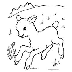 Раскраска: баранина (Животные) #190 - Раскраски для печати