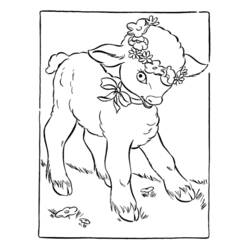 Раскраска: баранина (Животные) #206 - Бесплатные раскраски для печати