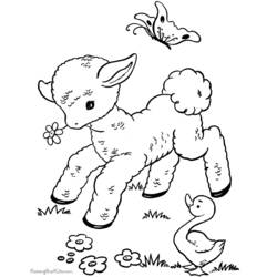 Раскраска: баранина (Животные) #214 - Раскраски для печати