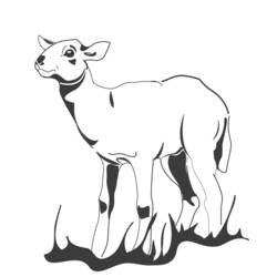 Раскраска: баранина (Животные) #245 - Бесплатные раскраски для печати
