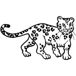 Раскраска: леопард (Животные) #9706 - Раскраски для печати