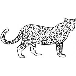 Раскраска: леопард (Животные) #9710 - Раскраски для печати
