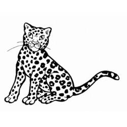 Раскраска: леопард (Животные) #9735 - Раскраски для печати