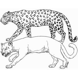 Раскраска: леопард (Животные) #9738 - Раскраски для печати