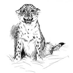 Раскраска: леопард (Животные) #9761 - Раскраски для печати