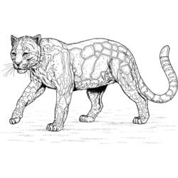 Раскраска: леопард (Животные) #9780 - Бесплатные раскраски для печати