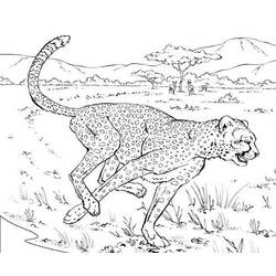 Раскраска: леопард (Животные) #9798 - Раскраски для печати