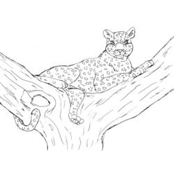 Раскраска: леопард (Животные) #9810 - Раскраски для печати