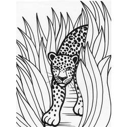 Раскраска: леопард (Животные) #9825 - Раскраски для печати
