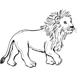 Раскраска: лев (Животные) #10240 - Раскраски для печати