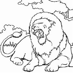 Раскраска: лев (Животные) #10251 - Бесплатные раскраски для печати