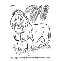 Раскраска: лев (Животные) #10252 - Раскраски для печати