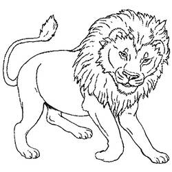 Раскраска: лев (Животные) #10270 - Раскраски для печати