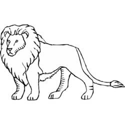 Раскраска: лев (Животные) #10292 - Раскраски для печати