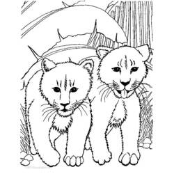Раскраска: лев (Животные) #10296 - Бесплатные раскраски для печати