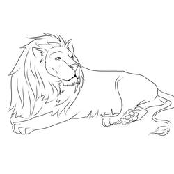 Раскраска: лев (Животные) #10299 - Раскраски для печати