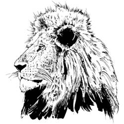 Раскраска: лев (Животные) #10316 - Бесплатные раскраски для печати