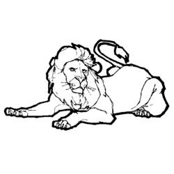 Раскраска: лев (Животные) #10348 - Бесплатные раскраски для печати
