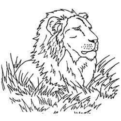 Раскраска: лев (Животные) #10349 - Раскраски для печати