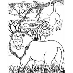 Раскраска: лев (Животные) #10368 - Бесплатные раскраски для печати