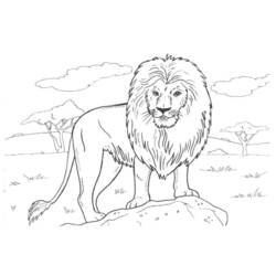 Раскраска: лев (Животные) #10379 - Раскраски для печати