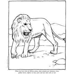 Раскраска: лев (Животные) #10399 - Бесплатные раскраски для печати