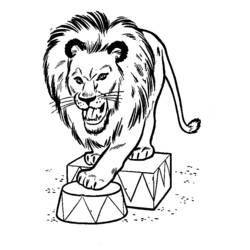 Раскраска: лев (Животные) #10406 - Бесплатные раскраски для печати