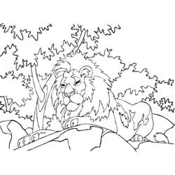 Раскраска: лев (Животные) #10418 - Бесплатные раскраски для печати