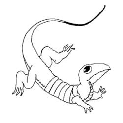 Раскраска: ящериц (Животные) #22295 - Раскраски для печати