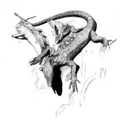 Раскраска: ящериц (Животные) #22343 - Раскраски для печати